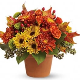 Autumn bouquet of orange and yellow flowers in a terracotta pot