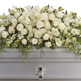 White rose and calla lily casket spray with cascading foliage on a silver casket