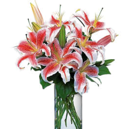 Bouquet of pink and white lilies in a clear glass vase