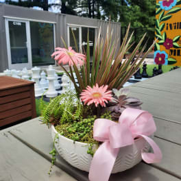 Succulent arrangement with pink daisies in a white bowl and pink ribbon