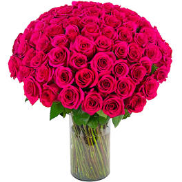 Large bouquet of hot pink roses in a clear glass vase