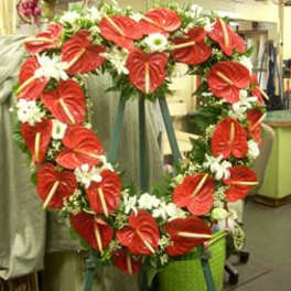 Sympathy Arrangements20/ 5-7 Days