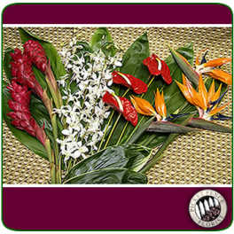 Tropical flowers with red, white, and orange blooms on large green leaves