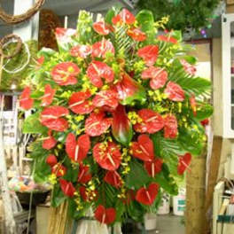 Large red anthurium arrangement with green foliage in a shop setting