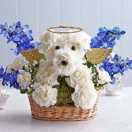 White floral dog arrangement in a wicker basket with blue flowers and gold wings
