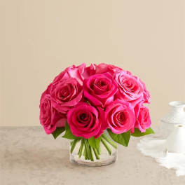 Contemporary Hot Pink Roses