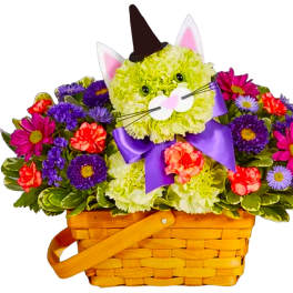 Cat-shaped flower basket with purple ribbon and a witch hat