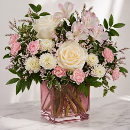 Pink Lattice