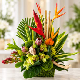 Tropical floral arrangement with red and orange bird-of-paradise and green orchids