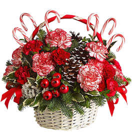 Red and white carnations in a wicker basket with candy canes and pinecones