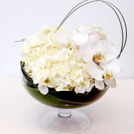 Orchids in a Bowl