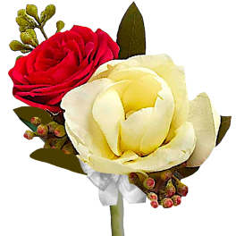 Red and white rose boutonniere with a white ribbon