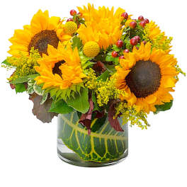 Sunny Sunflowers by BloomNation™