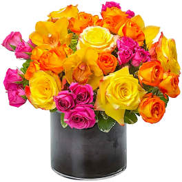 Bright Abundance by BloomNation™