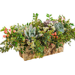 English Garden by BloomNation™