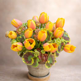 Potted arrangement of yellow and pink tulips in a ceramic pot