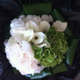 Classic whites and greens