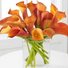Orange calla lilies arranged in a clear glass vase