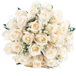 Bouquet of cream roses with baby's breath