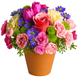 Mixed bouquet of pink, purple, and yellow flowers in an orange pot