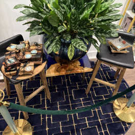 Huge Chinese Evergreen