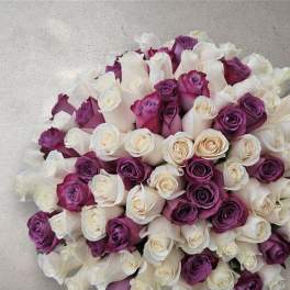 Bouquet of white and purple roses tightly packed together