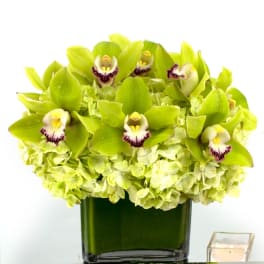 Green orchids and pale hydrangeas in a dark glass vase