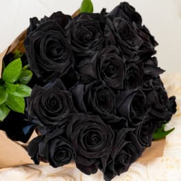 Bouquet of black roses with a few green leaves