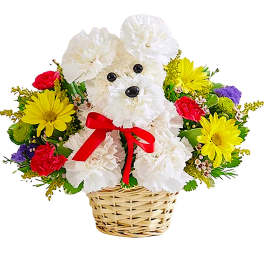 White teddy bear in a basket surrounded by colorful flowers