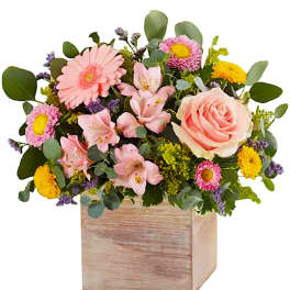 Mixed pink and yellow flowers in a wooden box