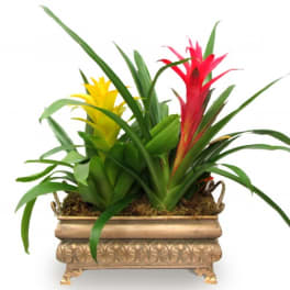 Tropical plant arrangement with red and yellow blooms in a decorative planter
