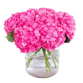 Hot Pink Hydrangea Bouquet
