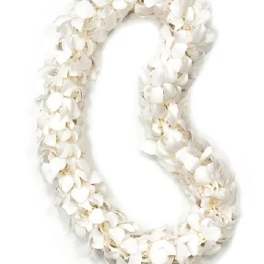White flower lei on a plain background