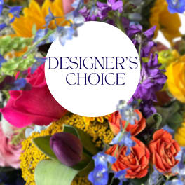 Designer's Choice