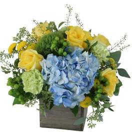 Blue hydrangeas and yellow roses in a wooden box arrangement