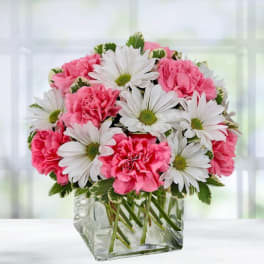 Pink carnations and white daisies in a square glass vase