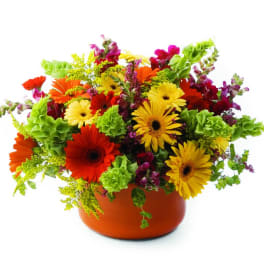 Colorful mixed bouquet in an orange vase