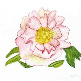 Pink watercolor flower with a yellow center and green leaves