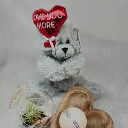 Plush teddy bear holding a red heart balloon beside a small plant globe and soap gift