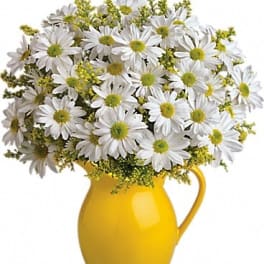 Sunny Day Pitcher of Daisies