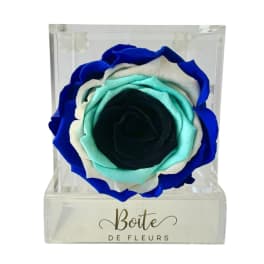Single preserved rose in a clear display box