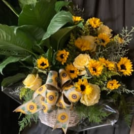 PEACE AND SUNFLOWERS