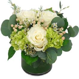 White roses and green hydrangeas in a dark vase