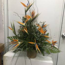 Tropical arrangement with orange bird-of-paradise flowers in a vase