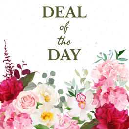 Floral graphic with pink and white flowers framing the words "Deal of the Day"