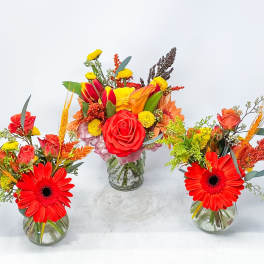 Three colorful floral arrangements in glass vases with red gerbera daisies and roses