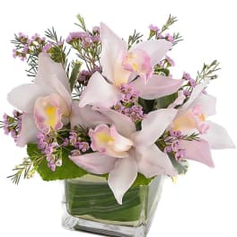 Pink orchids in a square glass vase with small purple filler flowers