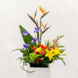 Tropical flower arrangement with bird of paradise, irises, roses, and lilies in a black container