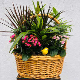 Mixed potted plants and pink flowers in a wicker basket with a small yellow bird figurine