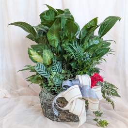 A lush green plant arrangement in a woven basket with a ribbon bow and red flowers.